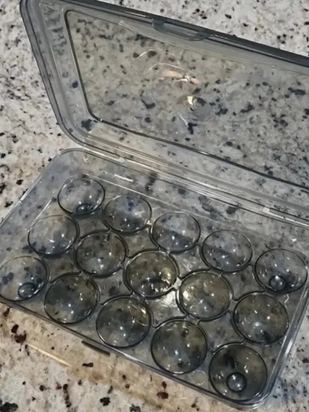 NEW Resin Grey Transparent Large Triple Roll Egg Box Keep Fresh Eggs Carton